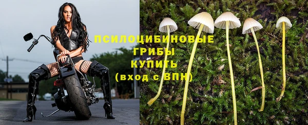хмурый Белоозёрский